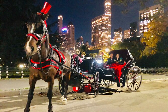 MOONLIGHT RIDE Central Park With Photo (45 Min) ~ Skip the Line - Movie Locations Highlighted