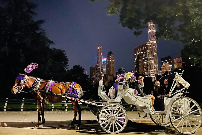MOONLIGHT RIDE Central Park With Photo (45 Min) ~ Skip the Line - Meeting Point and Duration