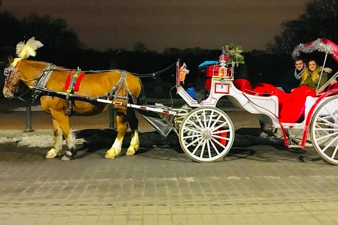 MOONLIGHT RIDE Central Park With Photo (45 Min) ~ Skip the Line - Group Size and Capacity