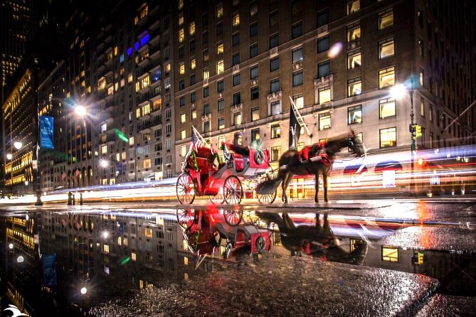 MOONLIGHT RIDE Central Park With Photo (45 Min) ~ Skip the Line - Accessibility and Accommodations