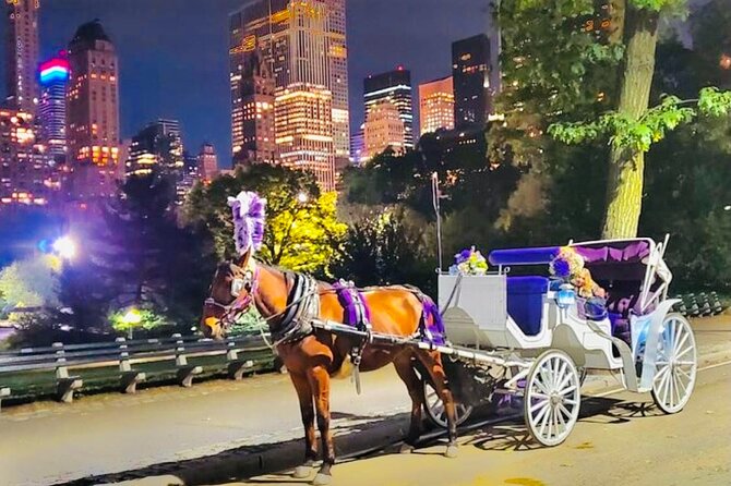 MOONLIGHT RIDE Central Park With Photo (45 Min) ~ Skip the Line - Booking Policies and Guarantees