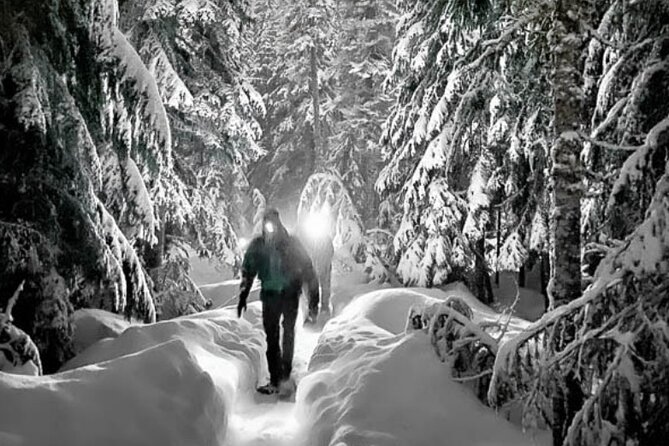Moonlight Snowshoe Hike - Meet Your Professional Guides