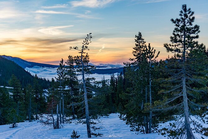 Moonlight Snowshoe Hike - Booking Information and Pricing