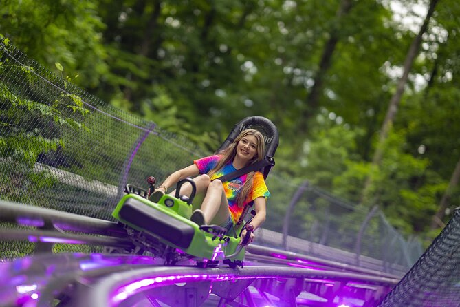 Moonshine Mountain Coaster Ride - Accessibility Features