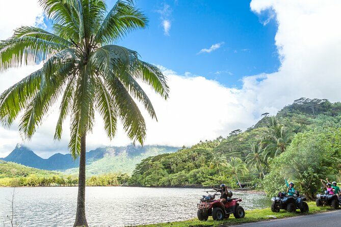 Moorea 4x4 Safari Adventure: Private Shore Tour From Cruise Port - Key Points