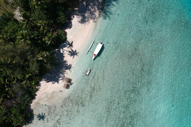 Moorea 6-Hour Snorkeling and Lunch Shared Tour - The Marine Environment: Worth the Effort