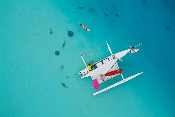Moorea Discovery Half-day Sailing - Key Points