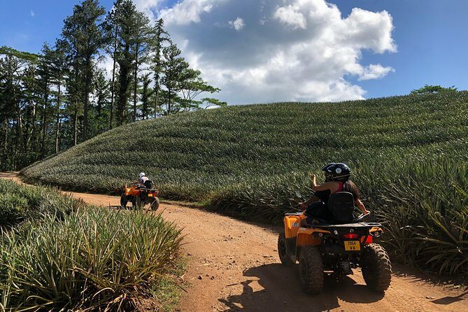 Moorea Explorer Atv Quad Tour - FAQ