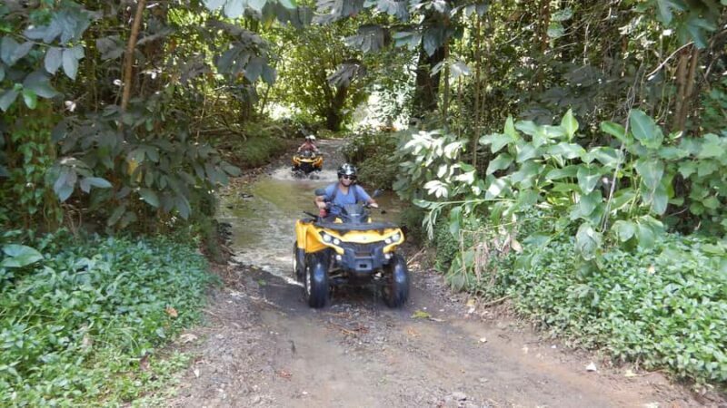 Mo'orea: Guided ATV Nature Tour - An In-Depth Look at the Moorea Guided ATV Tour
