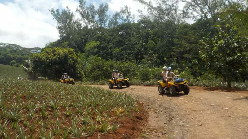 Mo'orea: Guided ATV Nature Tour - Final Thoughts: Is This Tour Worth It?