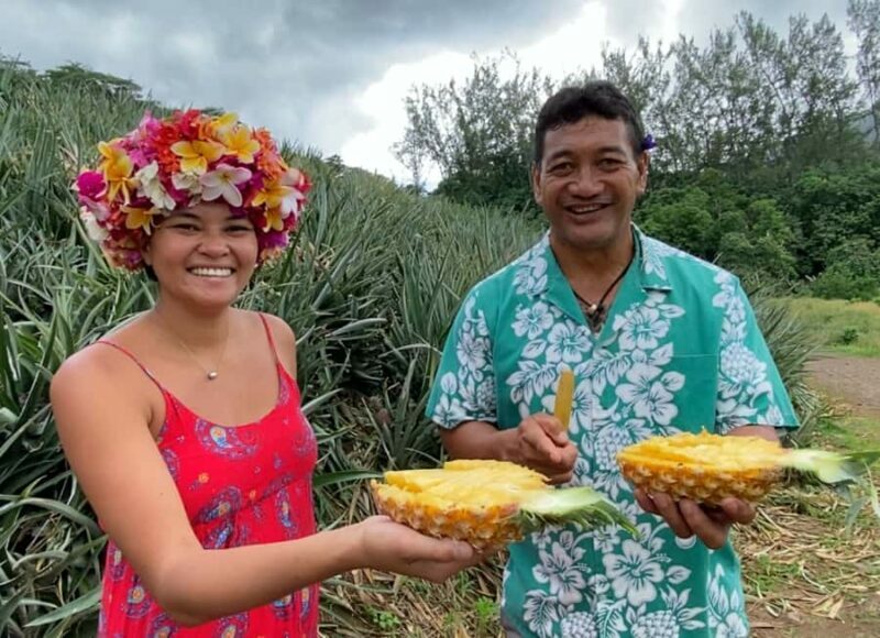 Moorea: Half-Day Open-Air 4WD Safari with Hotel Transfers - The Sum Up