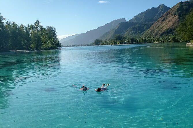 Mo'orea Half Day Private Tour with Snorkeling and Cruising the Lagoon - Frequently Asked Questions