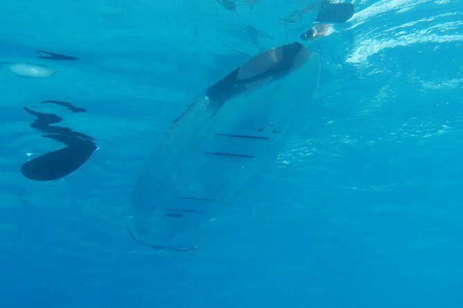 Moorea Lagoon Tour by Transparent Kayak - Detailed Itinerary Breakdown