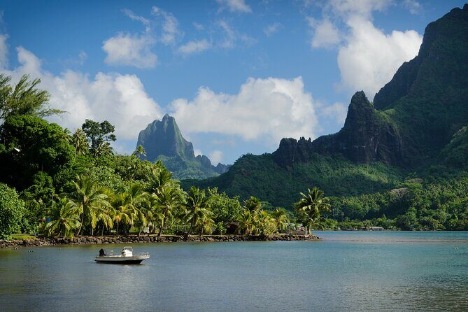Moorea Nature & Culture Hike  Private Shore Tour 4 Hours - An In-Depth Look at the Moorea Nature & Culture Hike