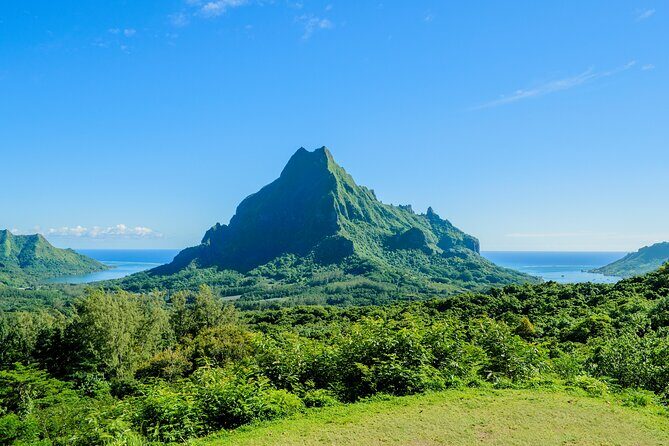 Moorea Nature & Culture Hike  Private Shore Tour 4 Hours - What Makes This Tour Stand Out?