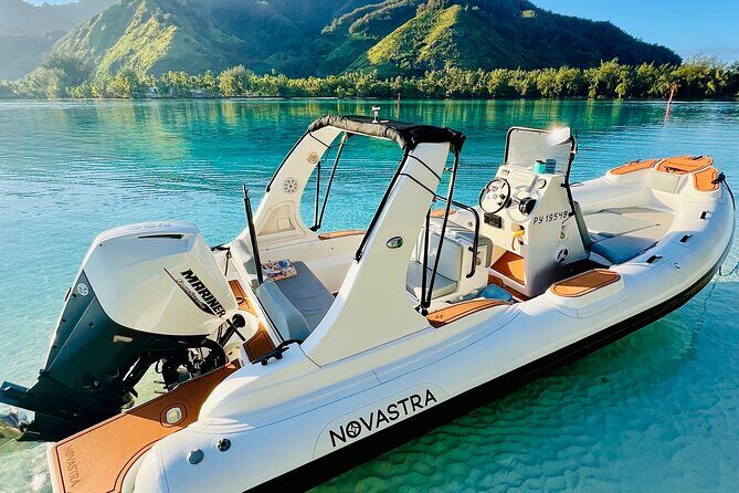 Moorea: Private 4-Hour High-End Boat Excursion - Key Points