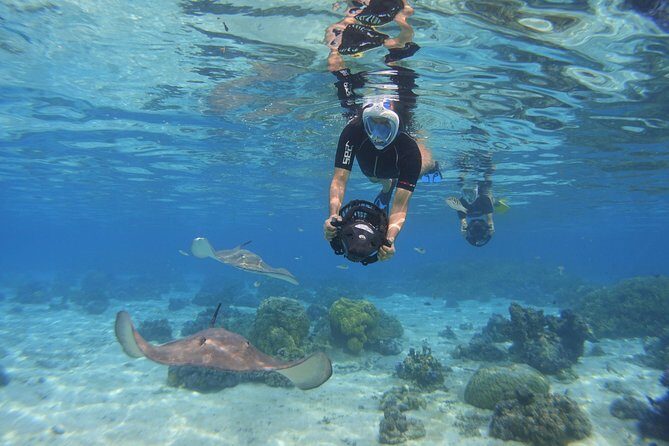 Moorea Private Boat Tour / Sea Scooter Snorkeling Tour - FAQs