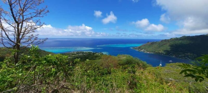 Moorea : Safari Nature and Culture Tour with local guide - The Sum Up: Who Will Find This Tour Most Valuable?
