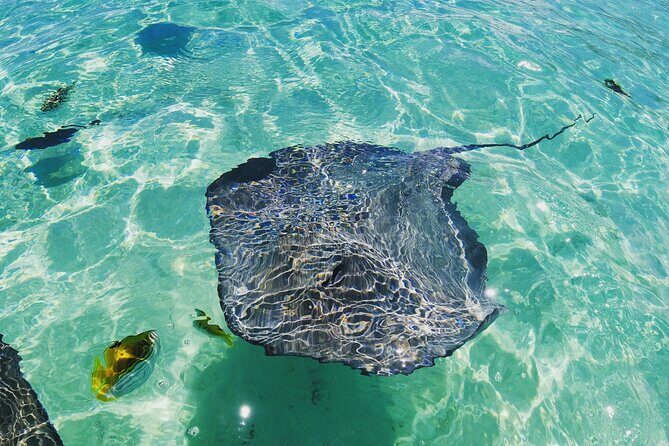 Moorea Solo or Twin 2 hours Jet Ski Tour - FAQs