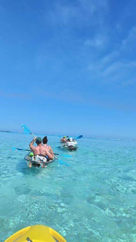 Moorea: Transparent Kayak Day Trip - An In-Depth Look at the Moorea Transparent Kayak Experience