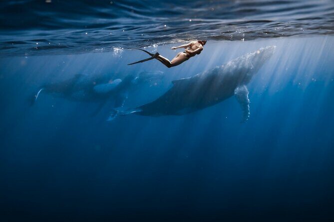 moorea tubing - FAQ