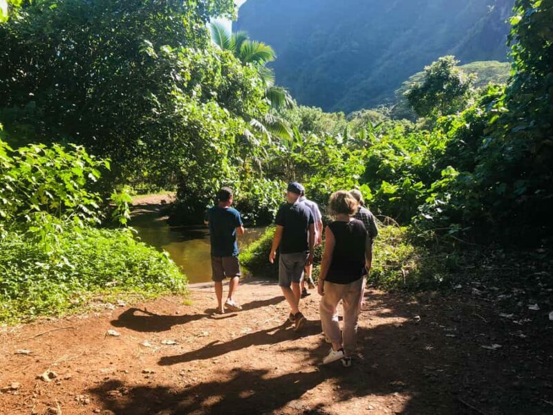 Moorea:4X4 safari excursion between land and sea with lunch - Price and Overall Value