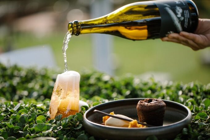 Moorillas Posh-As Day at Mona: Art and Wine Experience - Booking and Cancellation Policy