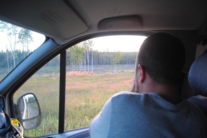 Moose Safari in the Wild Sweden Tiveden - Intimate Small-Group Experience
