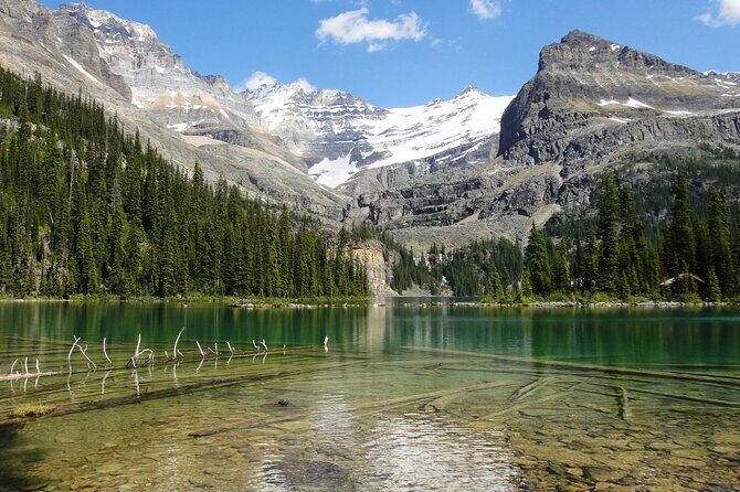 Moraine Lake and Lake Louise Sightseeing Half Day Tour - Who Should Consider This Tour?