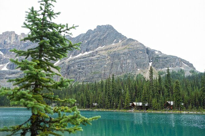 Moraine Lake and Lake Louise Sightseeing Half Day Tour - Final Thoughts