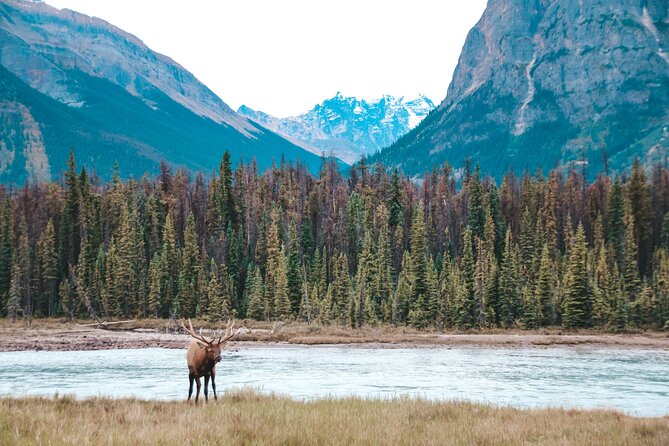 Moraine Lake, Lake Louise & Banff Secrets | Award-Winning Tour - Award-Winning Small-Group Experience