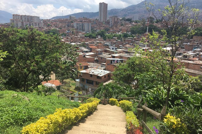 Moravia: the Unexpected Garden of Medellín - Embracing Moravias Unexpected Natural Wonders
