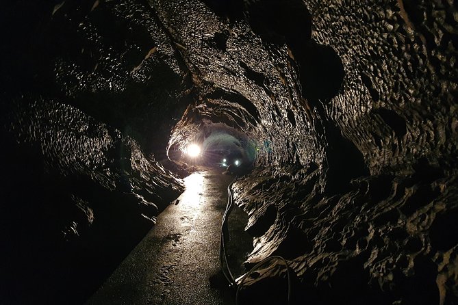 Moravian Carst And Brno Private Tour From Prague - Inclusions and Accessibility