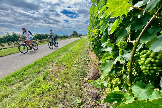 Moravian E-Bike & Wine Day Trip From Brno - Tour Highlights