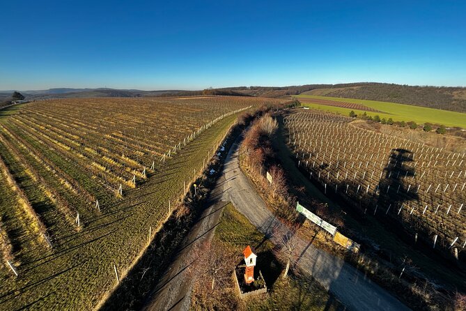 Moravian E-Bike & Wine Day Trip From Brno - Worth The Stay