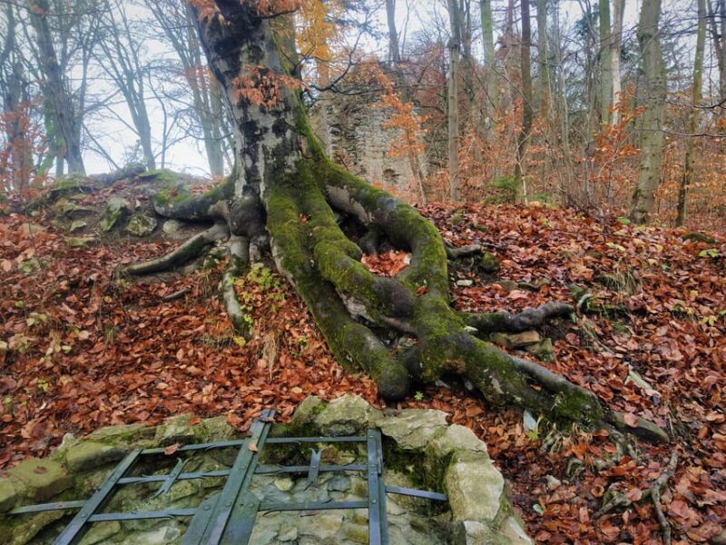 Moravian Karst: Top Secrets Guided HALF Day Tour - Inclusions