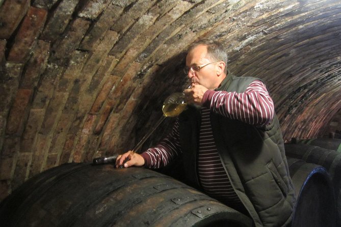 Moravian Wine Trails - Cultivated Gardens of Lednice