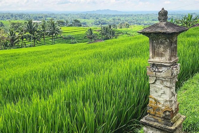 More Complete: Discover Bali In 3 Days Private Tour Package - Jatiluwih Rice Terraces