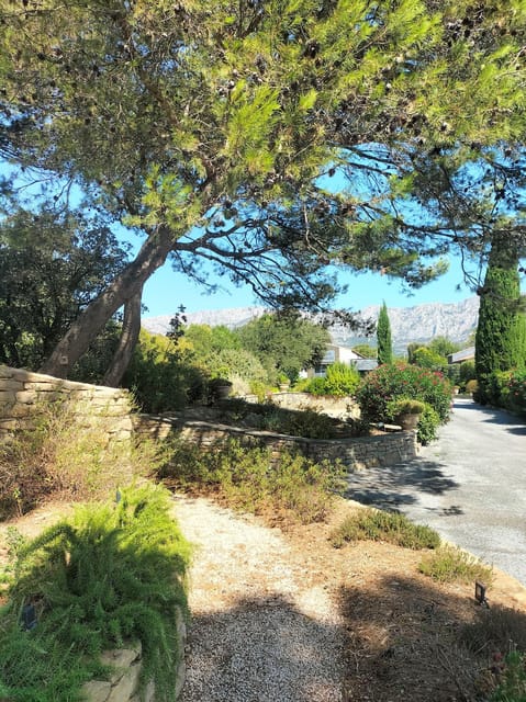 More Than a Wine Tour : Day Like a Local in the Countryside - Dining Options in Picturesque Settings