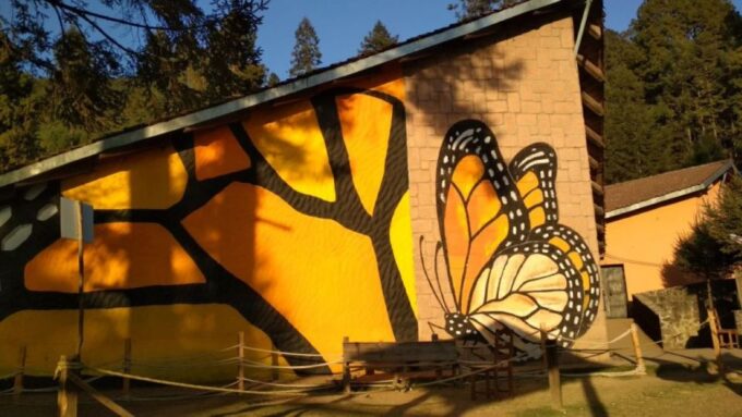 Morelia: Monarch Butterfly Tour - Customer Reviews