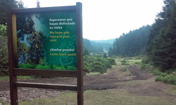 Morelia: Monarch Butterfly Tour - Scenic Drive