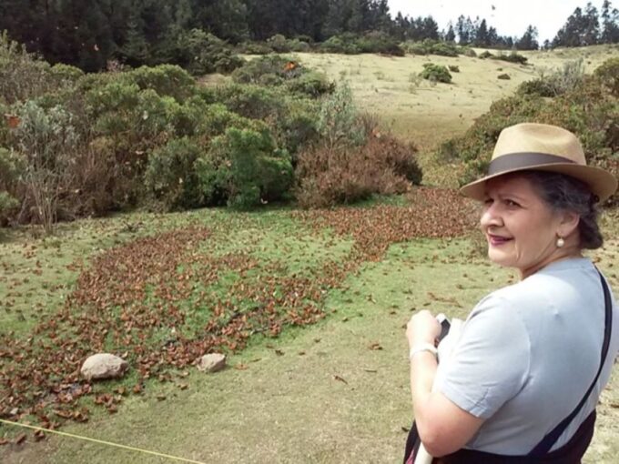 Morelia: Monarch Butterfly Tour - Frequently Asked Questions
