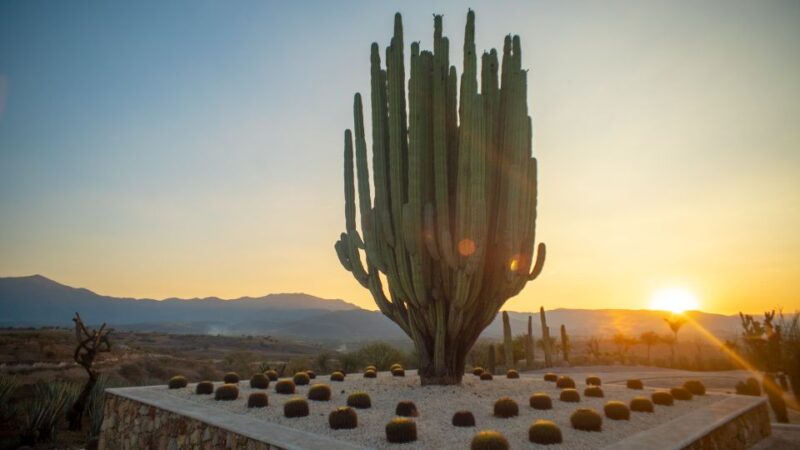 Morelos: Jardines De México Admission Ticket - Key Points