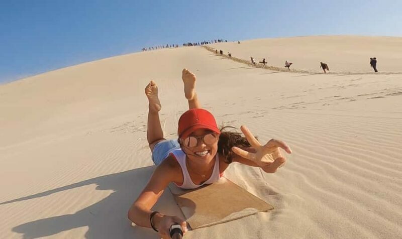 Moreton Island: Desert Safari Tour & Dolphin Viewing - Key Points