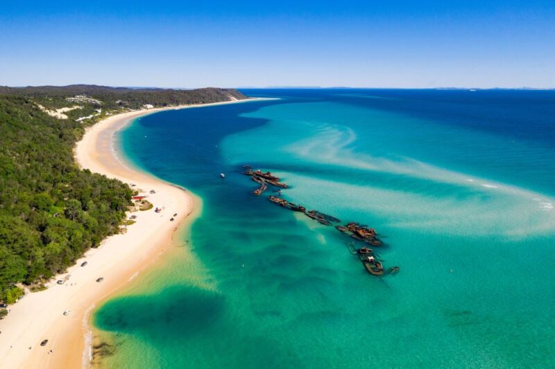 Moreton Island: Dolphin and Tangalooma Wrecks Day Cruise - Included Activities