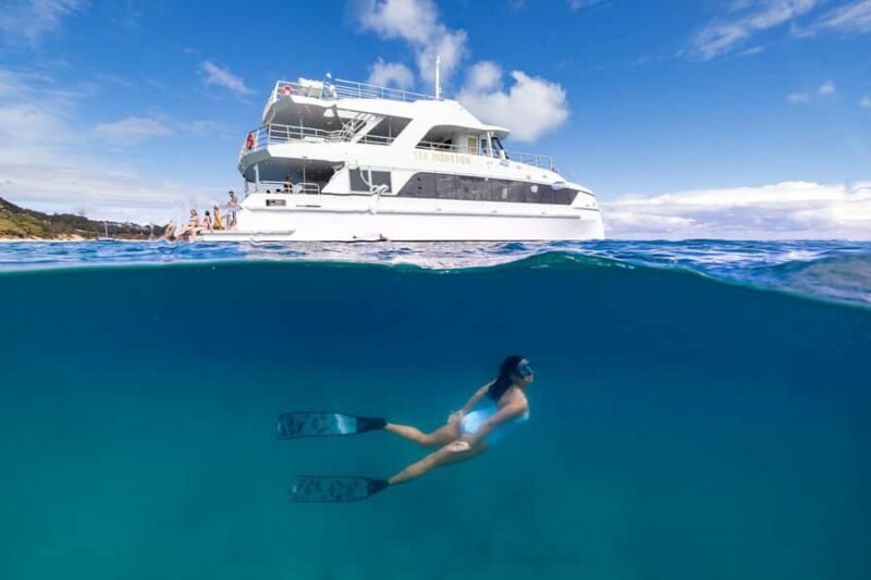 Moreton Island: Dolphin & Tangalooma Wrecks Snorkel Cruise - A Detailed Look at the Tour