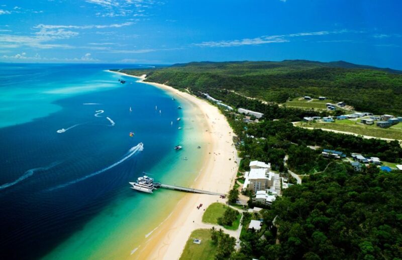 Moreton Island: Marine Discovery Cruise & Dolphin Feeding - Key Points