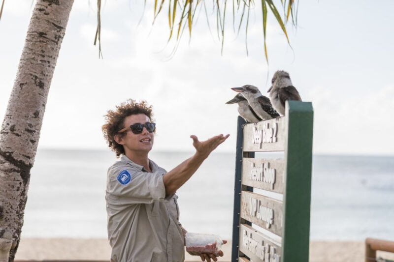 Moreton Island: Marine Discovery Cruise & Dolphin Viewing - Facilities at Tangalooma Resort