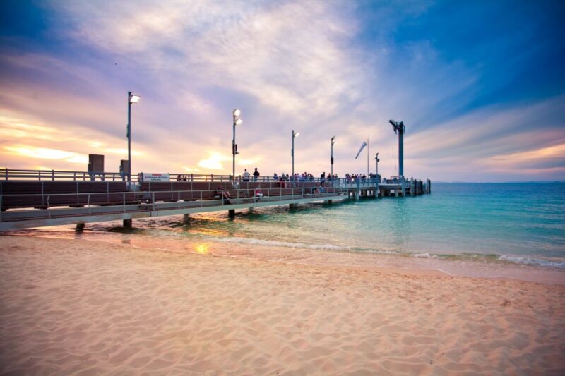 Moreton Island: Marine Discovery Cruise & Dolphin Viewing - Return Times and Seasons