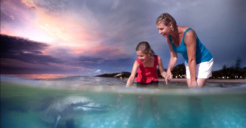 Moreton Island: Tangalooma ATV Quad Bike & Dolphin Feeding - Tangalooma Island Resort Access